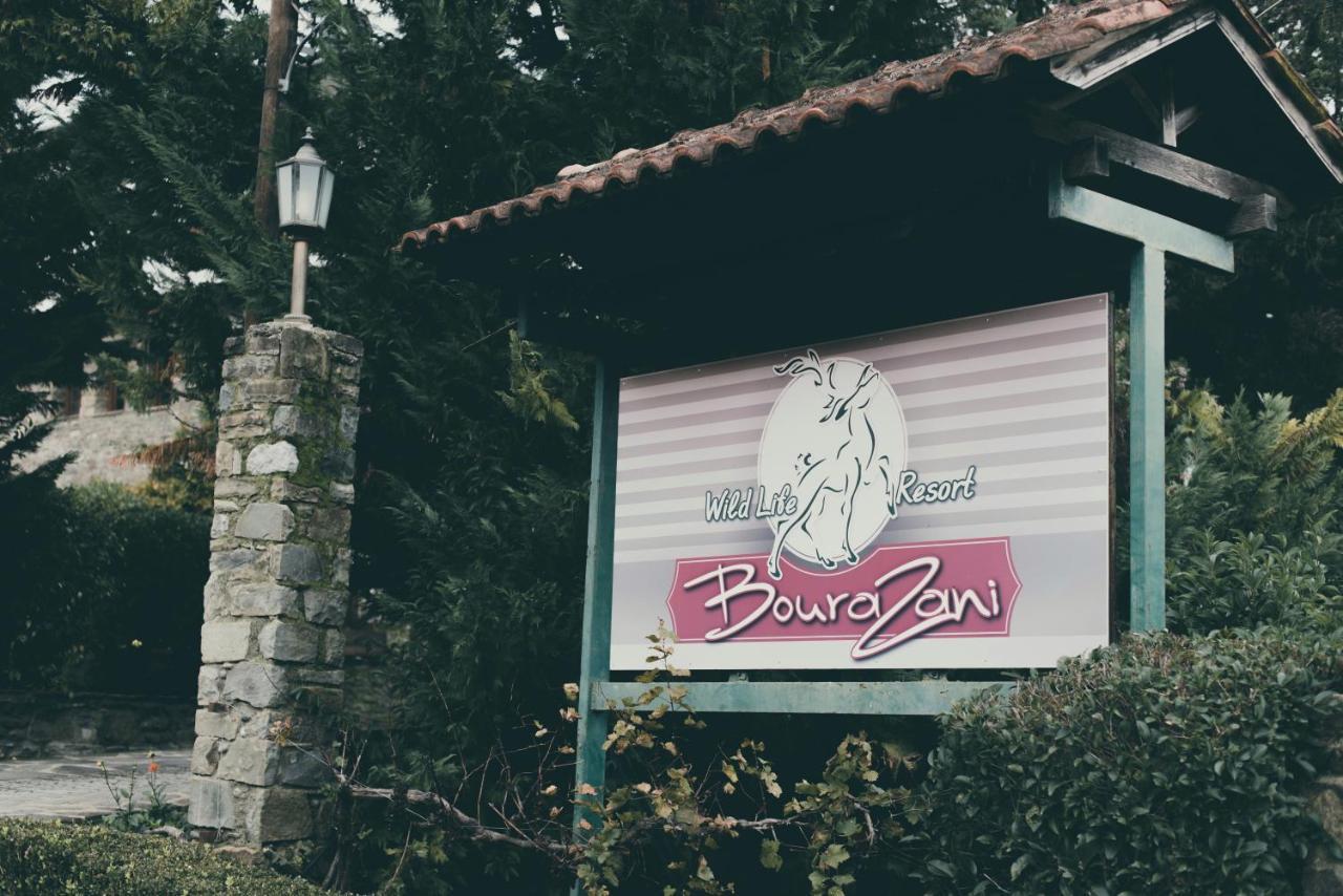 Bourazani Wild Life Resort Konitsa Extérieur photo