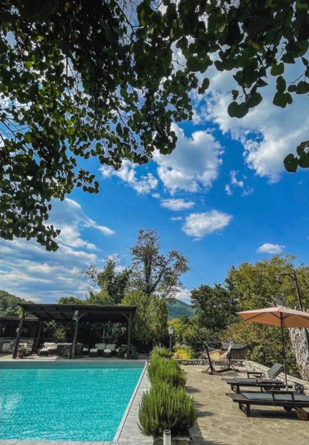 Bourazani Wild Life Resort Konitsa Extérieur photo