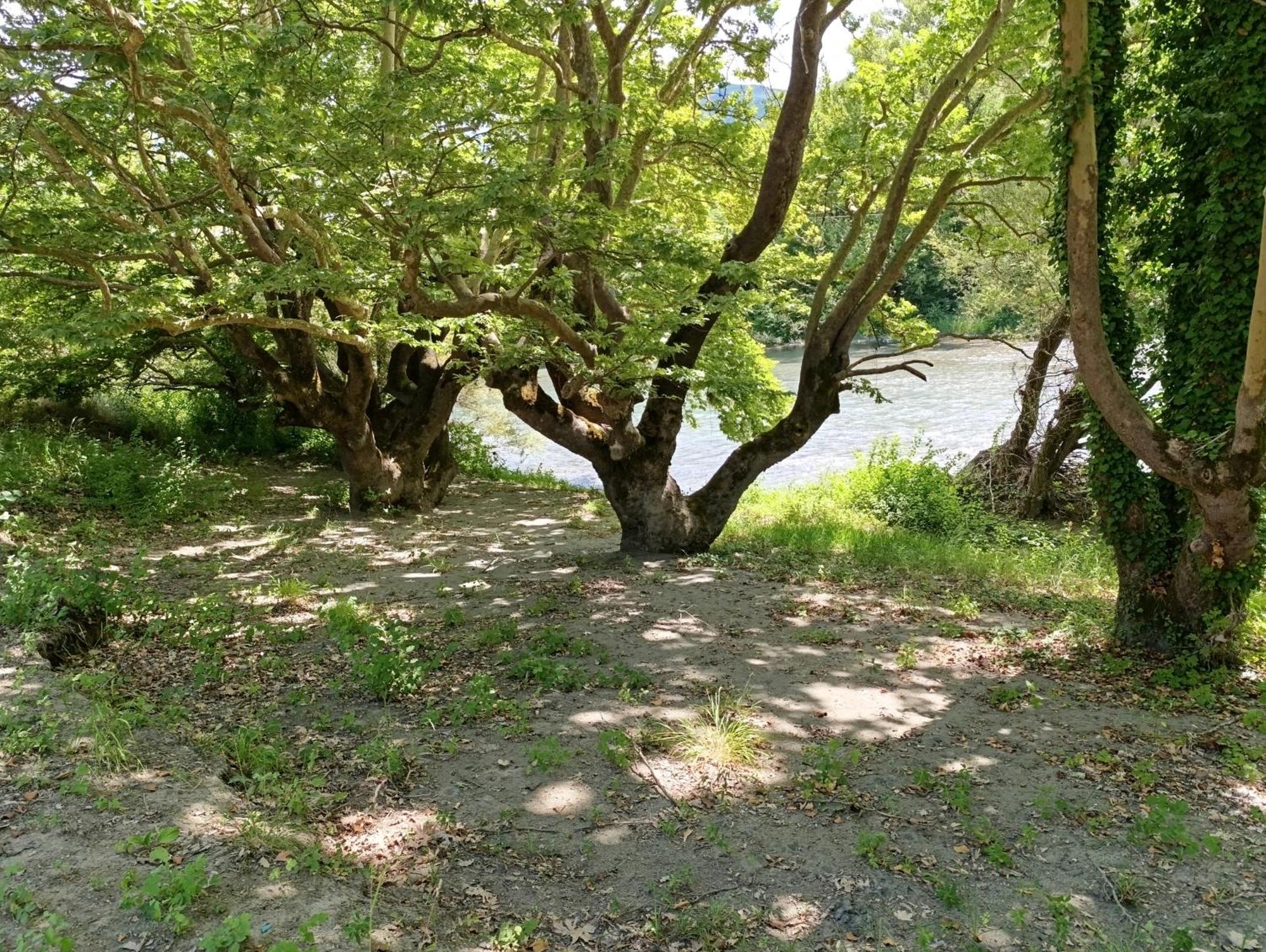 Bourazani Wild Life Resort Konitsa Extérieur photo